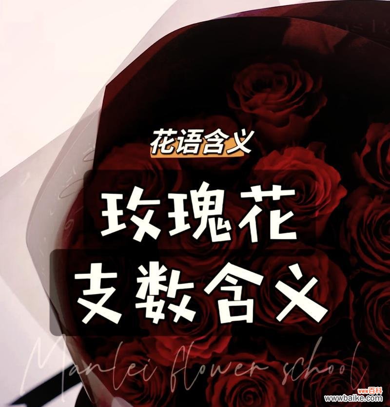 男朋友制作雪玫瑰花代表什么?雪玫瑰花在情感表达中有何特殊含义?