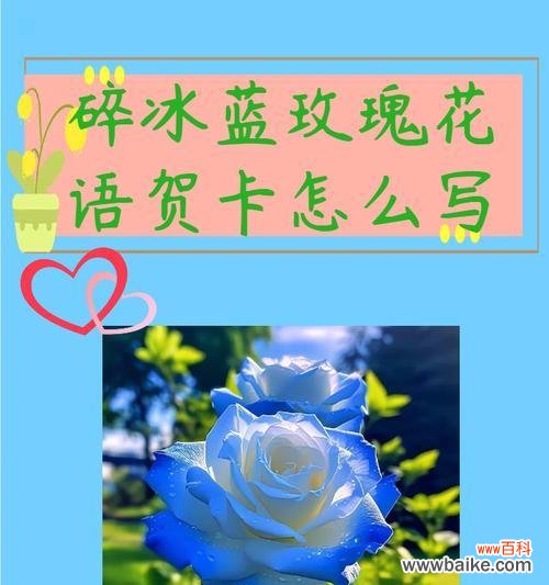 送给三月的花语是什么呢?三月有哪些花语特别适合表达祝福?