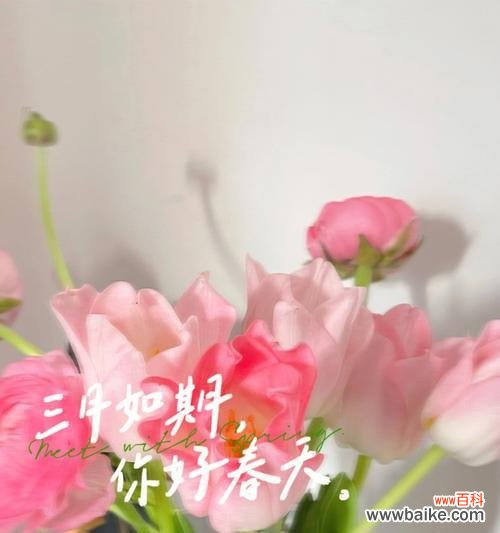 送给三月的花语是什么呢?三月有哪些花语特别适合表达祝福?