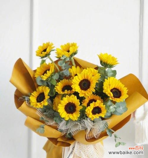 意大利向日葵花语有何特殊含义？意大利向日葵的花语代表什么？