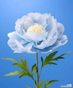 蓝色花代表的寓意和象征是什么？