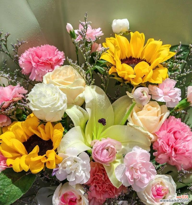 寓意康复的花的花语是什么?哪种花象征着康复和希望?