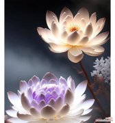 寓意康复的花的花语是什么？哪种花象征着康复和希望？