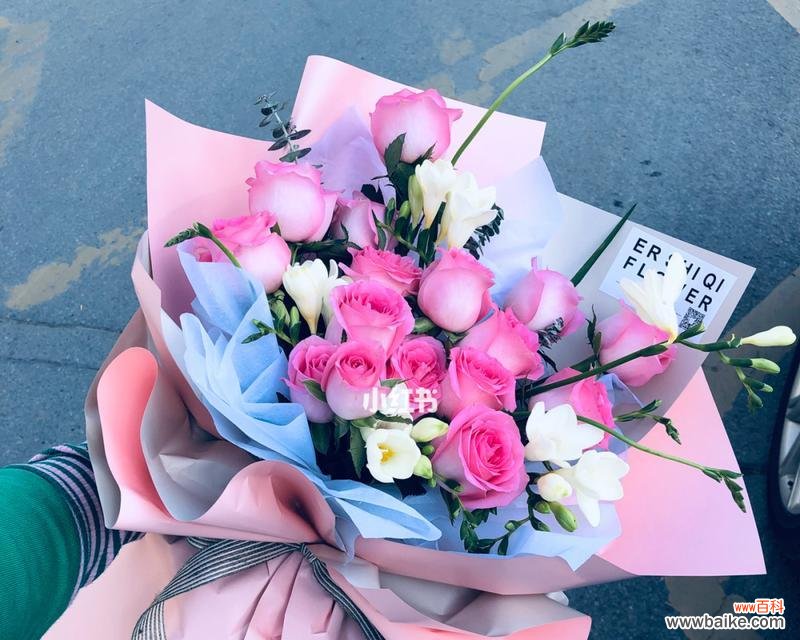 探寻苏醒玫瑰的象征意义与美学价值 苏醒玫瑰