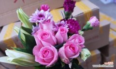 苏醒玫瑰花语带给我们的力量和启示 苏醒玫瑰花语