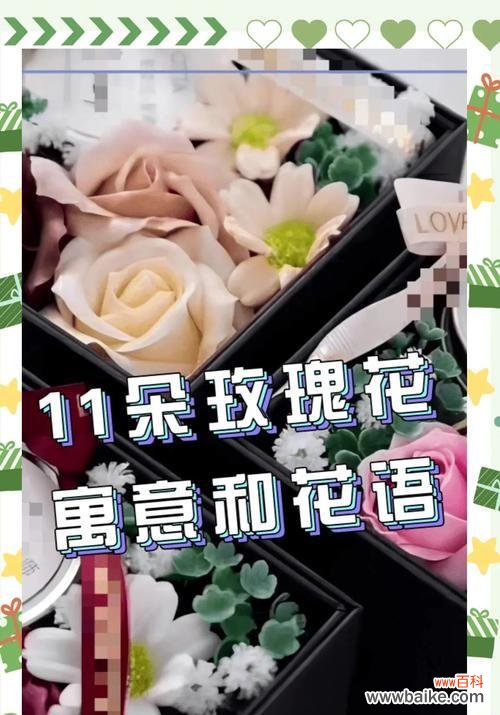 手中这朵花的花语有何寓意?