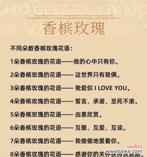 海上玫瑰的花语和寓意是什么？它有什么特别的含义？