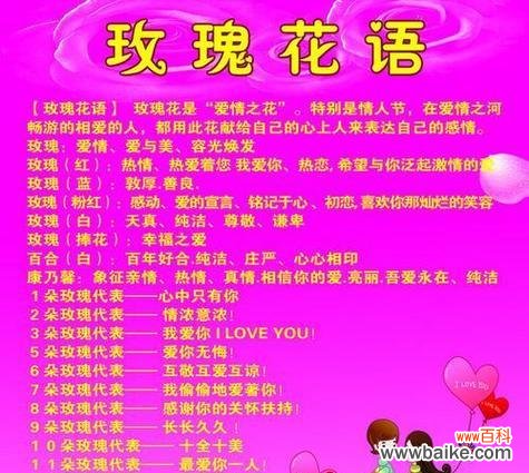 18朵玫瑰花茶的花语是什么?