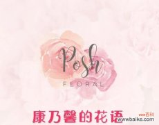 流行的妈妈花语是什么？蓝水花的花语又是什么？