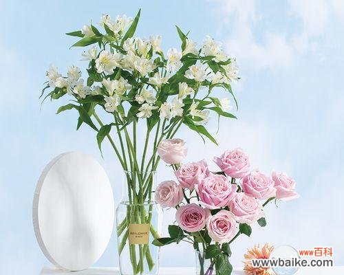 探究十朵玫瑰花所代表的不同情感和含义,了解鲜花语言的奥秘 十朵玫瑰花的意义