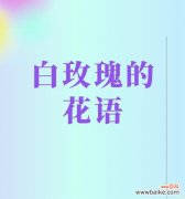 多么好的花语啊什么意思？花语表达的深层情感有哪些？