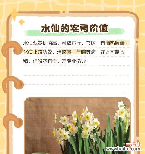 哪种花的花语与水仙花相似？