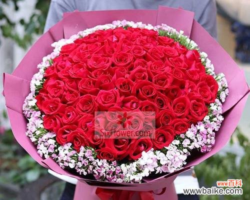 11朵红玫瑰传递的爱与祝福 11朵红玫瑰的花语意思