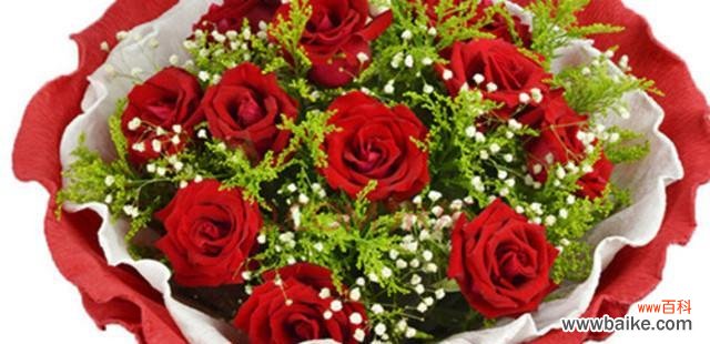 传递爱意、美丽与温柔的鲜花 深情不变，唯美粉色玫瑰的花语