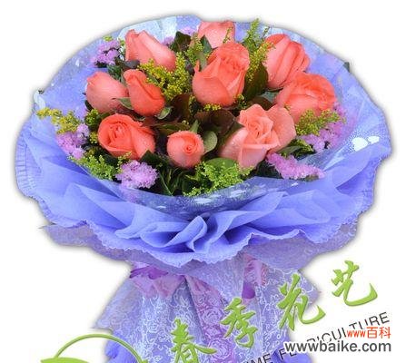 花语中的爱的承诺 11朵粉玫瑰的意义