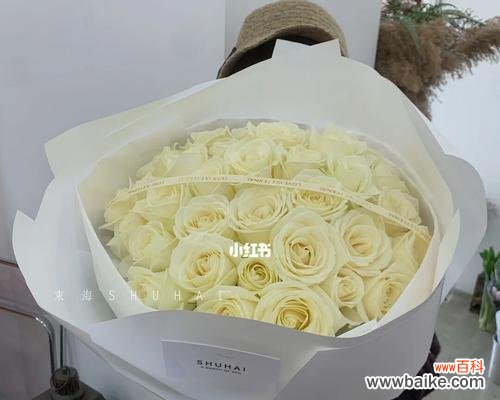 传递爱情与纯洁的白玫瑰 白玫瑰花语的深刻寓意