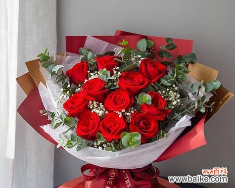 探索花语中的奥秘，解读11朵玫瑰的吉祥象征 玫瑰花的意义与象征——11朵玫瑰的寓意