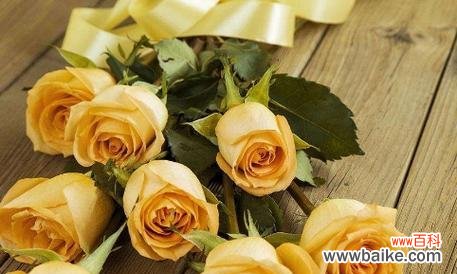 11朵黄玫瑰诉说的情感故事 黄玫瑰花语的深刻含义