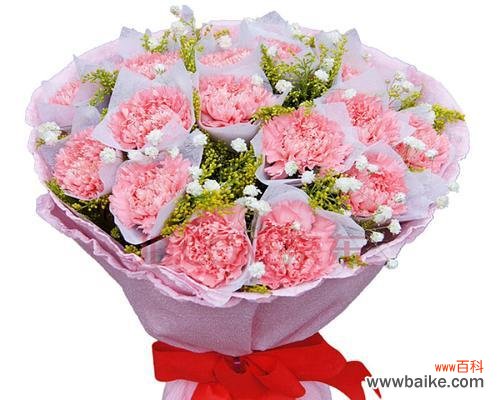 用鲜花表达情感,11朵康乃馨的神秘寓意揭秘 康乃馨的象征意义