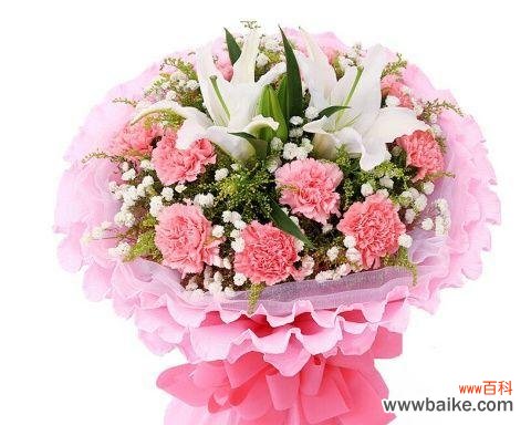 用鲜花表达情感,11朵康乃馨的神秘寓意揭秘 康乃馨的象征意义