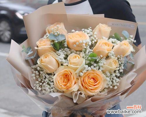 深入探索11朵玫瑰花的神秘寓意与隐含信息 玫瑰花的象征意义