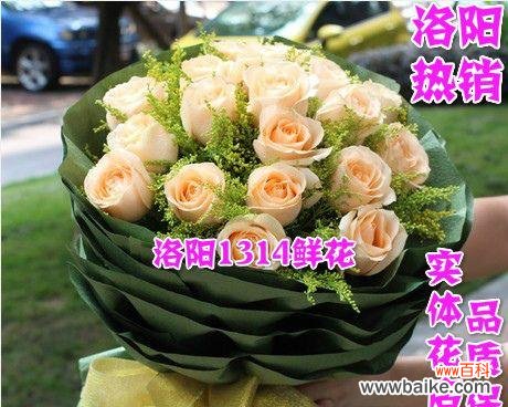 探索每朵玫瑰的寓意 11朵玫瑰花语解读