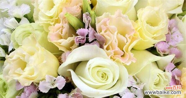 探寻11朵玫瑰的神秘花语 11朵玫瑰花语的含义