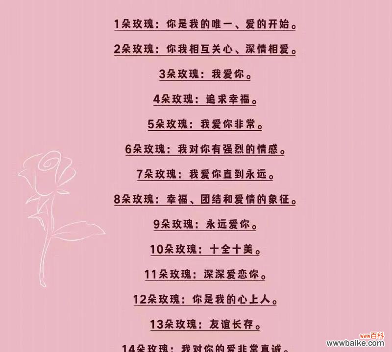 399朵爱心玫瑰花的花语是什么?