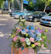 搬家时选择什么花寓意好？搬家花的花语有哪些？