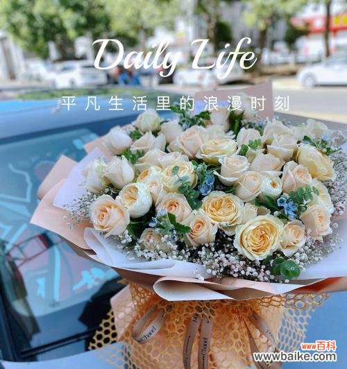 香槟玫瑰的花语有何独特之处？