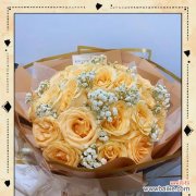 香槟玫瑰的花语有何独特之处？