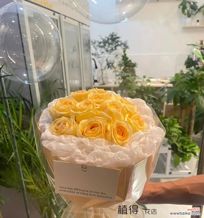 香槟玫瑰的花语有何独特之处？