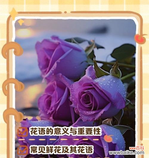 送球星花束的花语有哪些含义?