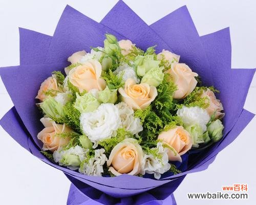 浪漫、温馨、爱情的象征 11朵香槟玫瑰的花语