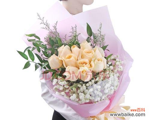 浪漫、温馨、爱情的象征 11朵香槟玫瑰的花语