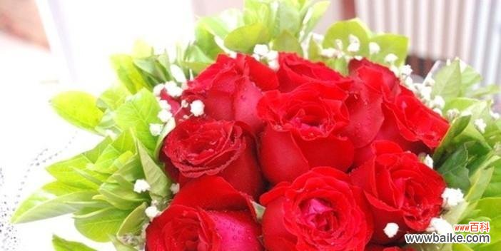 解读11朵玫瑰所代表的含义 11朵玫瑰的深意