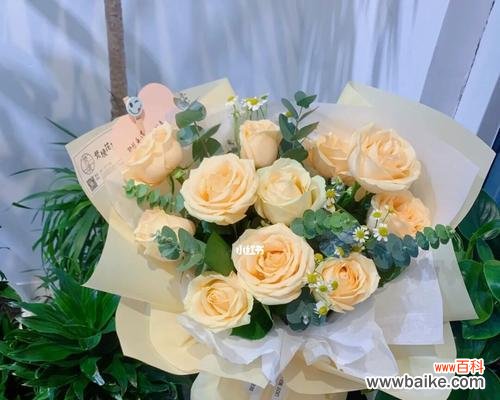 探寻花束中蕴含的代表寓意 11朵香槟玫瑰的神秘之意