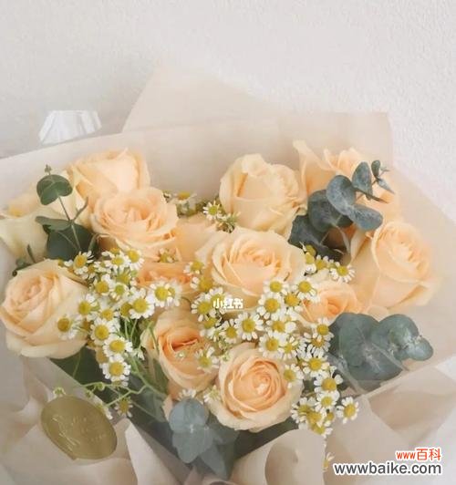 以花为言,传递深情 11朵香槟玫瑰的花语