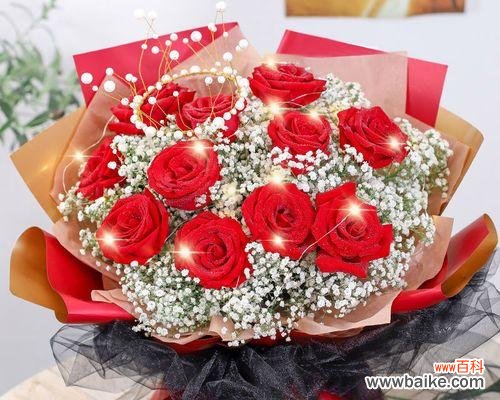 探索玫瑰的神秘之美 11支玫瑰的寓意与象征意义