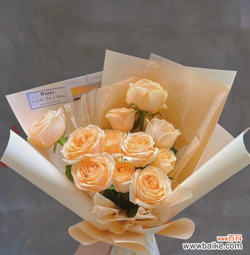 探索玫瑰的神秘之美 11支玫瑰的寓意与象征意义