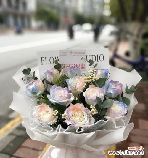 探索玫瑰的神秘之美 11支玫瑰的寓意与象征意义