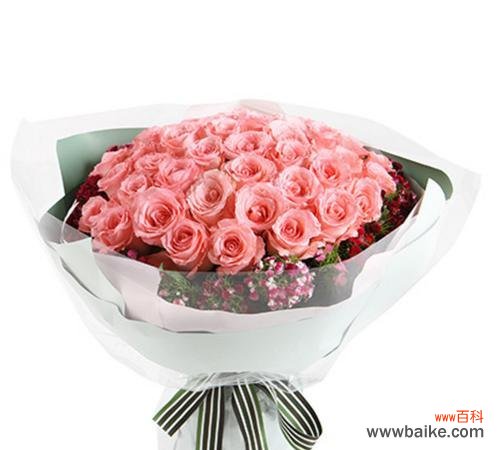 解读花语中的深意与情感传达 13朵粉玫瑰的神秘寓意