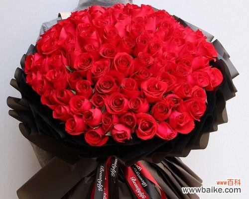 用花朵传达情感,探索12朵玫瑰花的神秘语言 12朵玫瑰花的花语