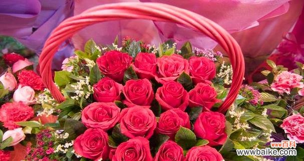 解读13朵玫瑰花背后的情感和象征 13朵玫瑰花的花语与含义