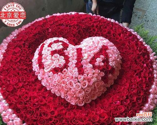 表达心意的传统与变革 13朵玫瑰花的意义及象征