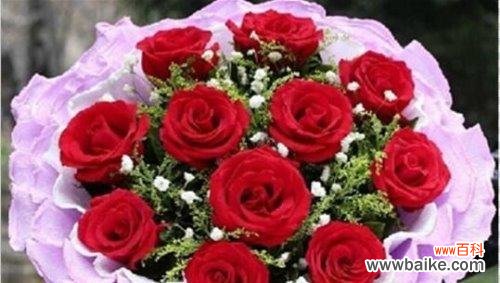 表达心意的传统与变革 13朵玫瑰花的意义及象征