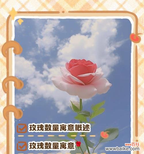 99朵玫瑰的单独花语是什么?它代表了什么?