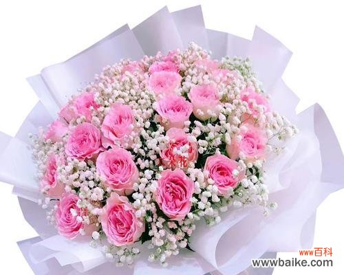 19朵粉玫瑰代表什么意思？
