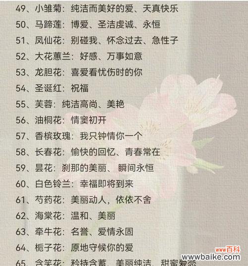 玫瑰花花语是什么?为什么玫瑰代表爱情?
