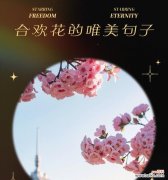 道具轻盈的花语代表什么含义？